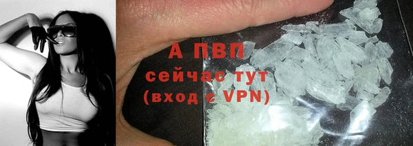 СК Абаза