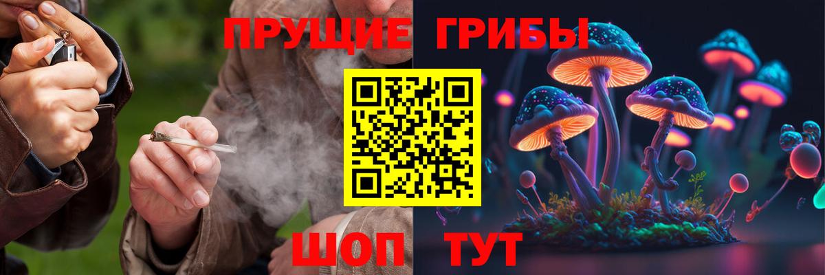 Псилоцибиновые грибы мицелий Норильск